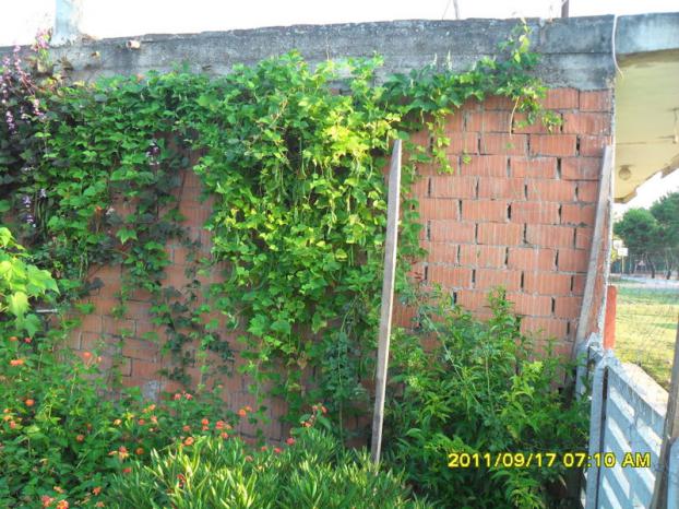 Name:  024.jpg
Views: 743
Size:  71.5 KB