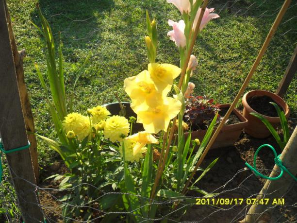Name:  044.jpg
Views: 733
Size:  71.6 KB