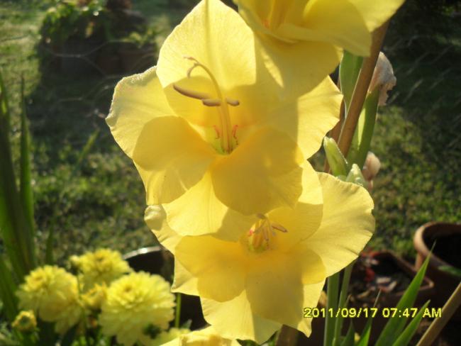 Name:  045.jpg
Views: 726
Size:  38.9 KB