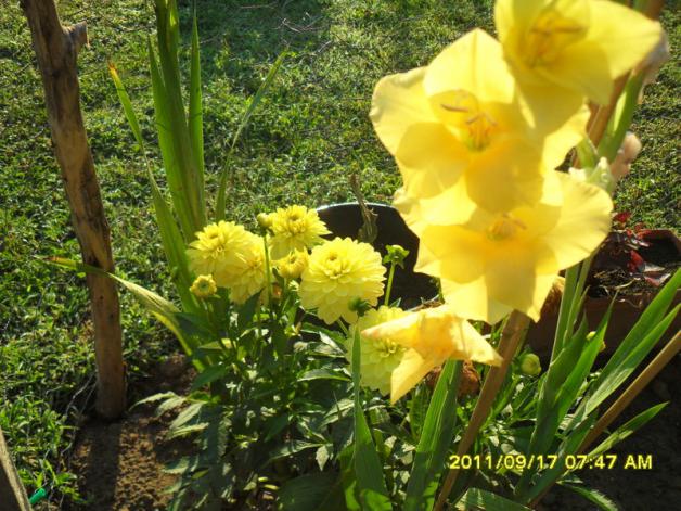 Name:  046.jpg
Views: 733
Size:  70.8 KB