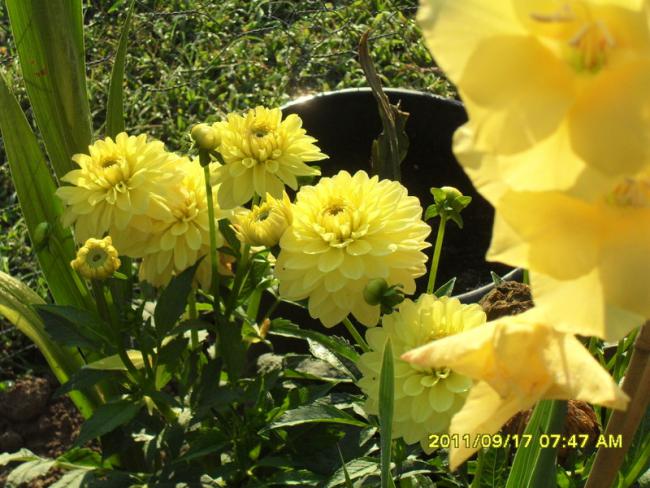 Name:  047.jpg
Views: 697
Size:  59.2 KB