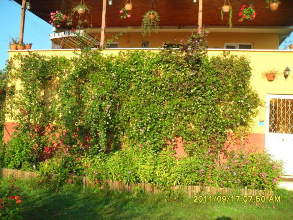 Name:  052.jpg
Views: 820
Size:  71.4 KB