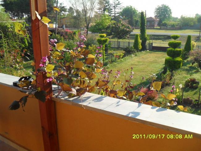 Name:  054.jpg
Views: 705
Size:  61.2 KB