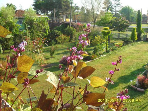 Name:  055.jpg
Views: 705
Size:  70.7 KB