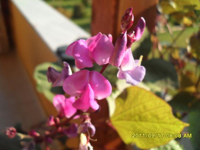 Name:  056.jpg
Views: 725
Size:  32.7 KB