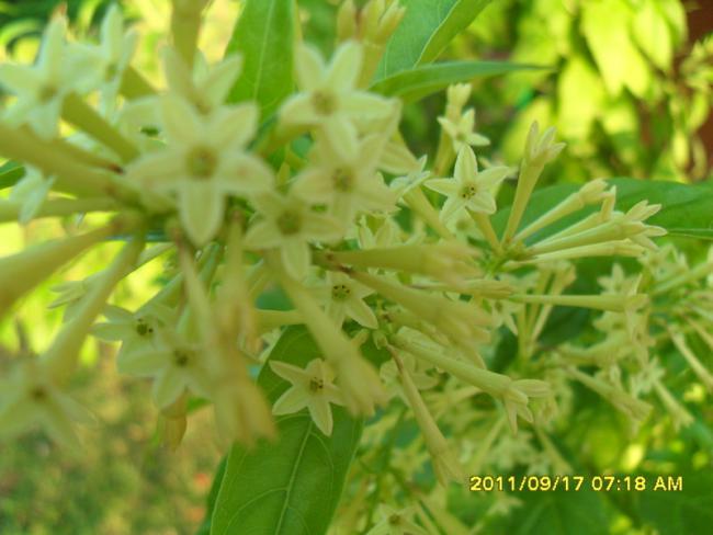 Name:  034.jpg
Views: 797
Size:  39.0 KB
