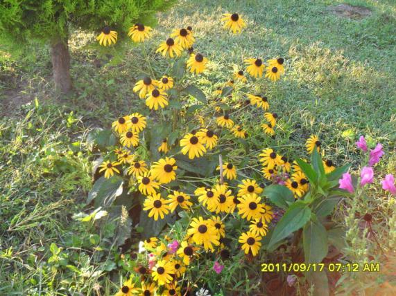 Name:  027.jpg
Views: 775
Size:  72.8 KB
