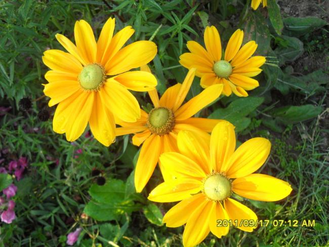 Name:  028.jpg
Views: 736
Size:  59.8 KB