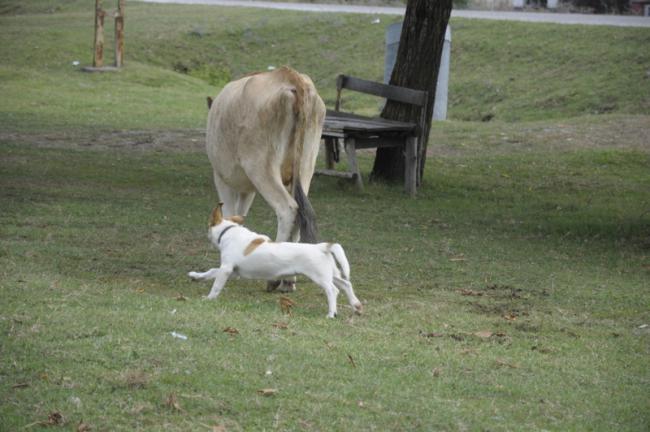 Name:  _DSC0157.jpg
Views: 720
Size:  43.1 KB