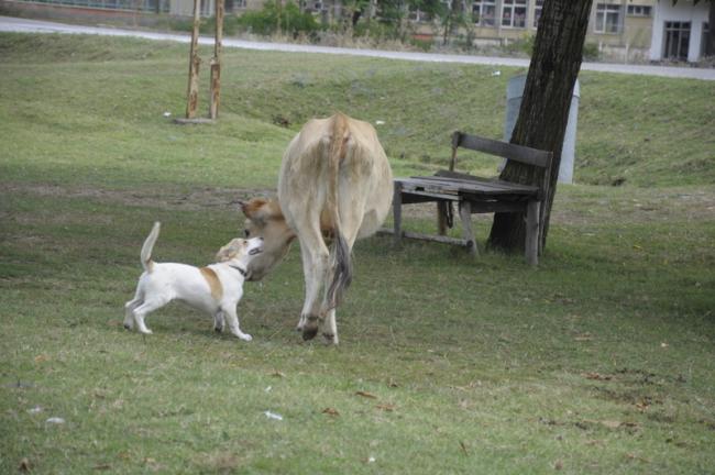 Name:  _DSC0158.jpg
Views: 706
Size:  44.9 KB
