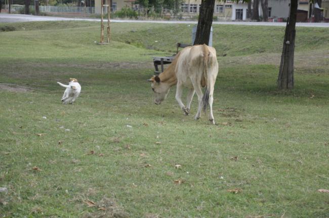 Name:  _DSC0155.jpg
Views: 701
Size:  46.8 KB