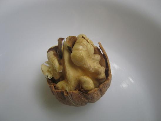Name:  ceviz.JPG
Views: 2230
Size:  28.3 KB