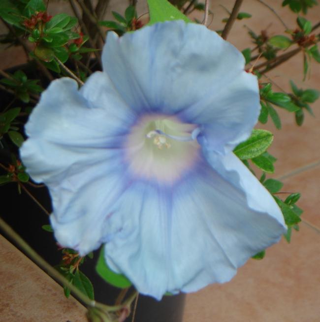 Name:  JMG 33.jpg
Views: 842
Size:  37.6 KB