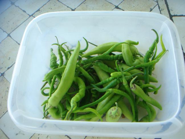 Name:  BBER 1.jpg
Views: 1013
Size:  37.3 KB