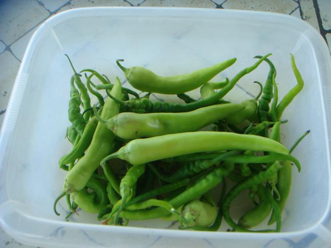 Name:  BBER 3.jpg
Views: 939
Size:  35.2 KB