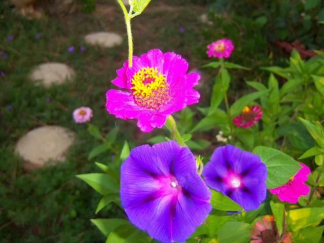 Name:  100_2801.jpg
Views: 333
Size:  42.1 KB
