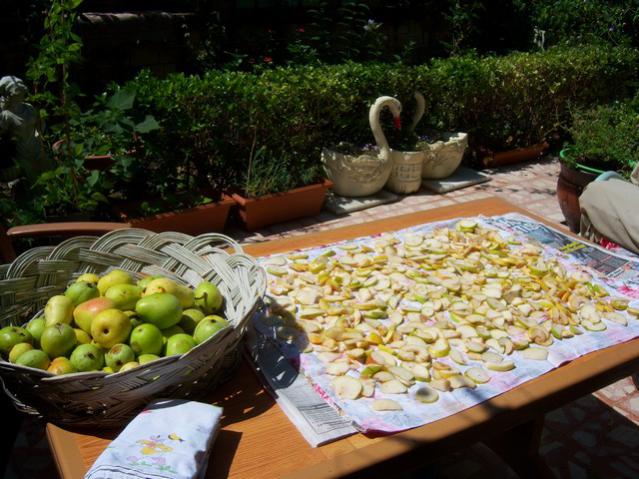 Name:  100_2821.jpg
Views: 342
Size:  61.0 KB
