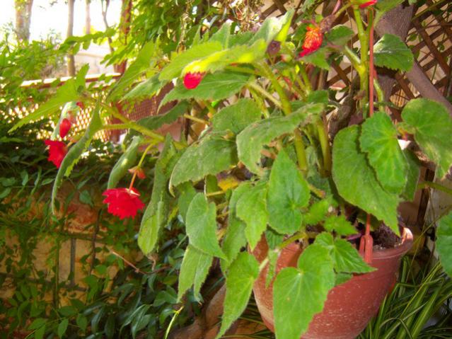 Name:  100_2839.jpg
Views: 294
Size:  63.5 KB