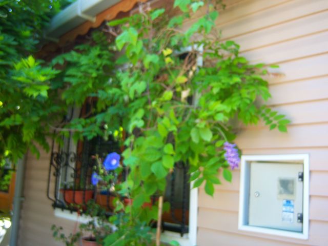 Name:  100_2873.jpg
Views: 454
Size:  46.3 KB