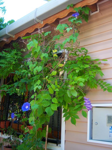 Name:  100_2874.jpg
Views: 462
Size:  69.4 KB