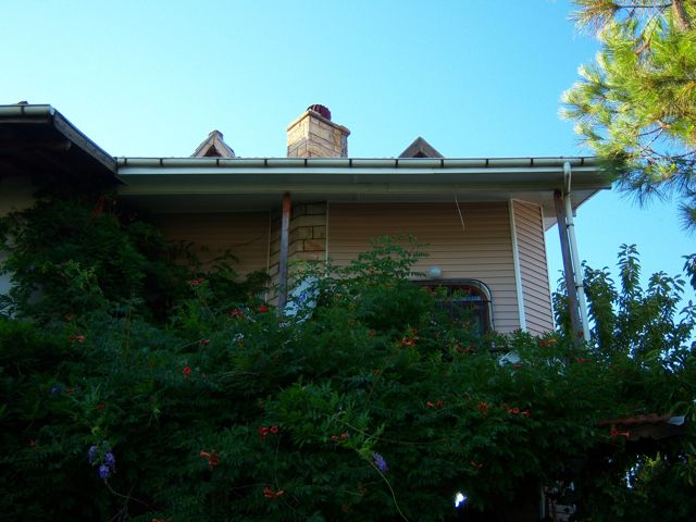 Name:  100_2902.jpg
Views: 469
Size:  53.8 KB