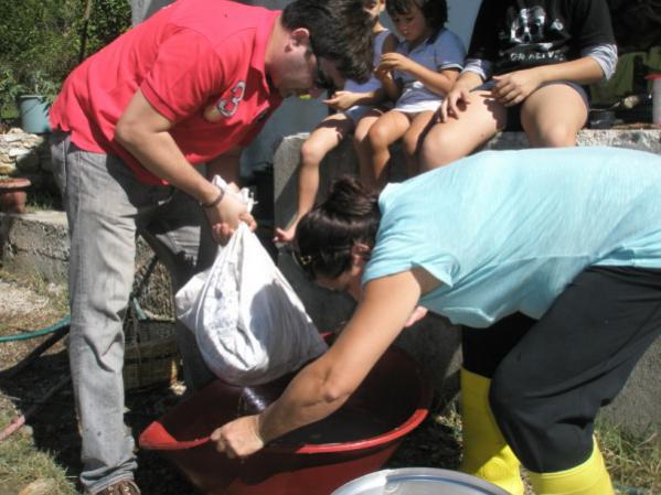 Name:  PA020600 (600 x 450).jpg
Views: 1530
Size:  44.7 KB