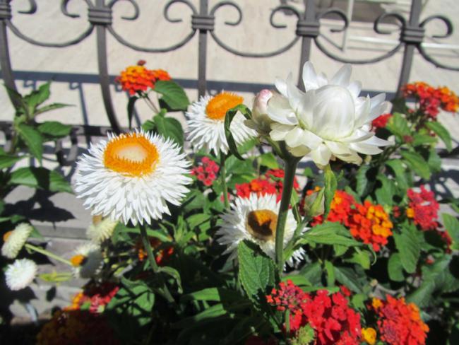 Name:  IMG_0439.jpg
Views: 918
Size:  56.5 KB
