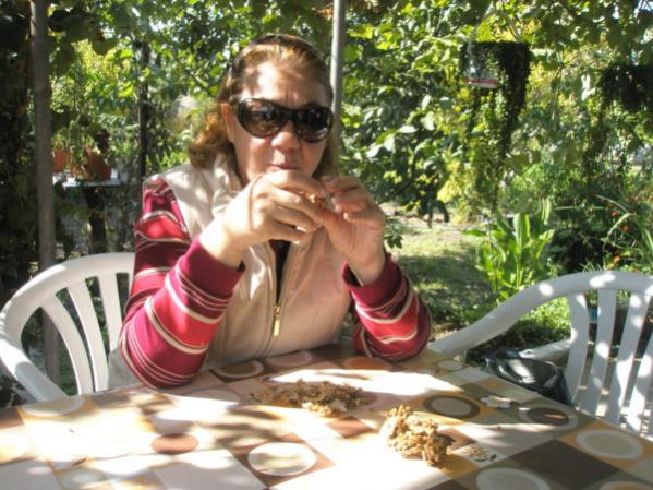 Name:  PA050607 (600 x 450).jpg
Views: 1129
Size:  59.3 KB