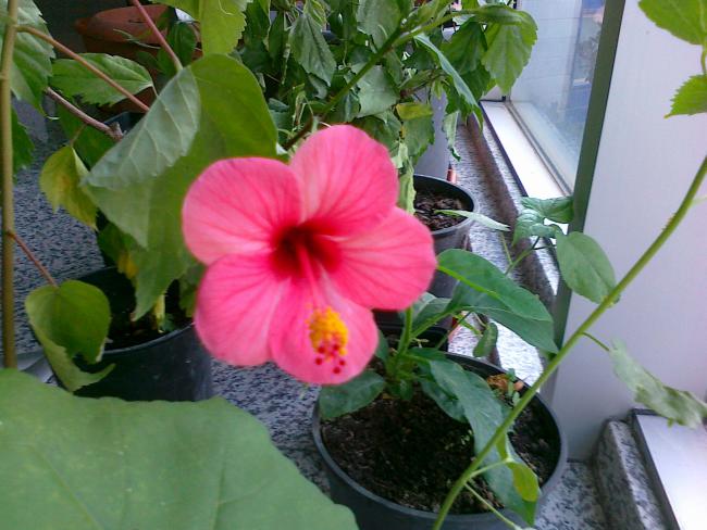 Name:  071020111594.jpg
Views: 1018
Size:  50.7 KB