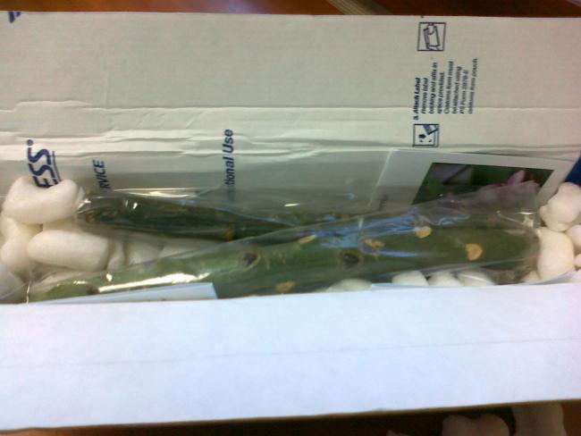 Name:  041020111582.jpg
Views: 1046
Size:  29.5 KB