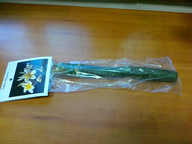 Name:  041020111588.jpg
Views: 1026
Size:  35.0 KB
