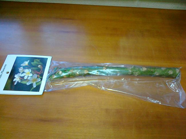 Name:  041020111590.jpg
Views: 1013
Size:  37.1 KB
