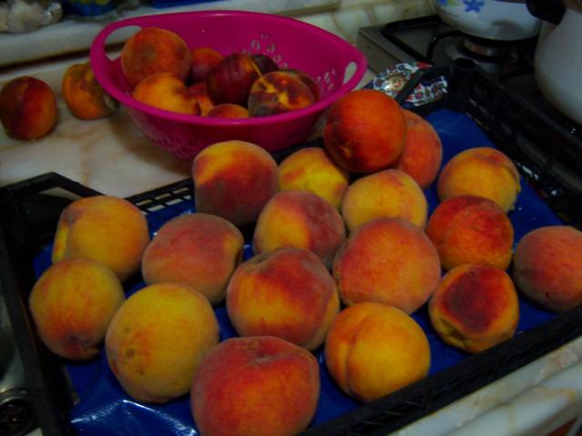 Name:  100_3073.jpg
Views: 326
Size:  35.5 KB