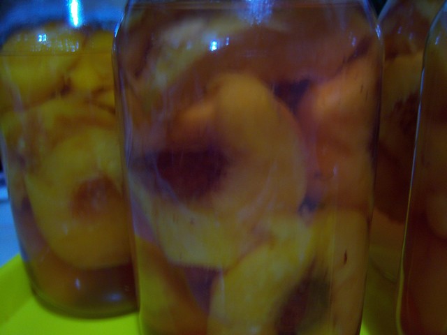 Name:  100_3164.jpg
Views: 370
Size:  68.3 KB
