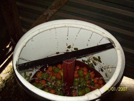 Name:  100_6061.JPG
Views: 1835
Size:  45.4 KB