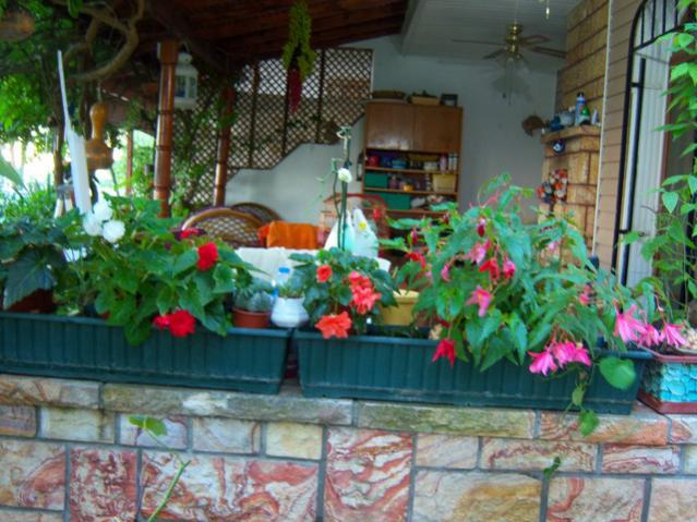 Name:  100_2940.jpg
Views: 369
Size:  58.5 KB