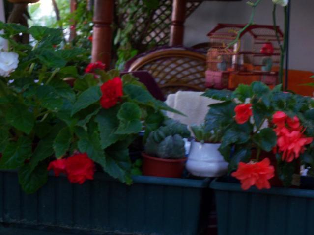 Name:  100_2942.jpg
Views: 354
Size:  33.5 KB