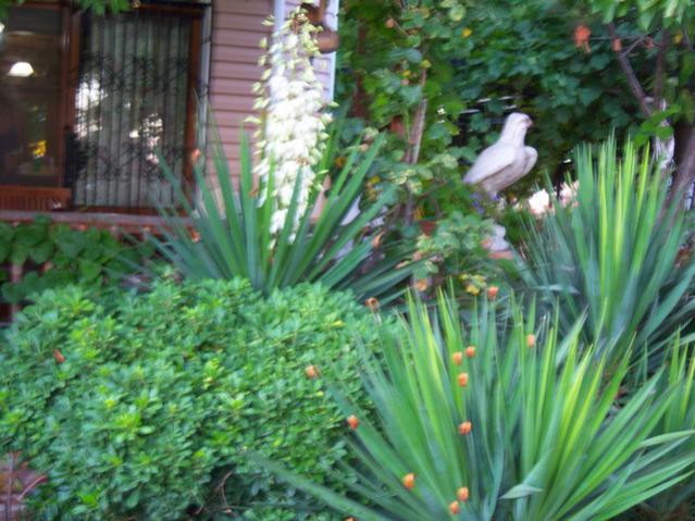 Name:  100_2951.jpg
Views: 363
Size:  58.4 KB