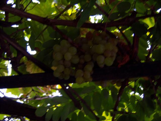 Name:  100_2969.jpg
Views: 357
Size:  36.5 KB