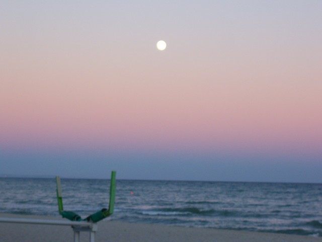 Name:  100_2974.jpg
Views: 352
Size:  55.4 KB