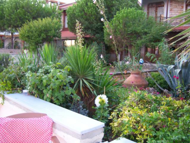 Name:  100_2975.jpg
Views: 377
Size:  67.9 KB