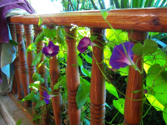 Name:  100_2979.jpg
Views: 348
Size:  57.6 KB