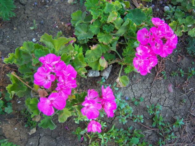 Name:  100_3021.jpg
Views: 358
Size:  70.8 KB
