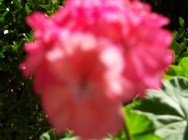 Name:  100_3024.jpg
Views: 360
Size:  28.0 KB
