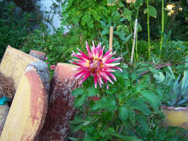Name:  100_3076.jpg
Views: 363
Size:  65.2 KB
