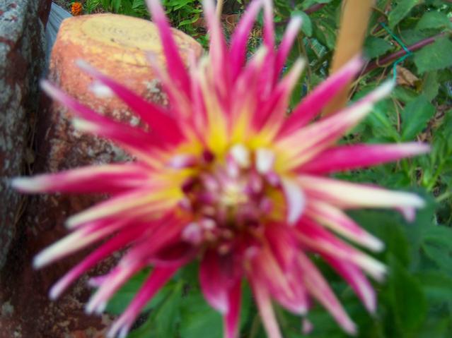 Name:  100_3077.jpg
Views: 358
Size:  40.8 KB