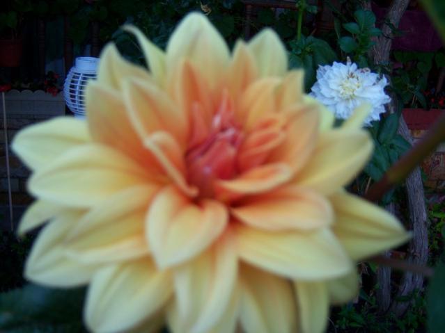 Name:  100_3078.jpg
Views: 354
Size:  29.9 KB
