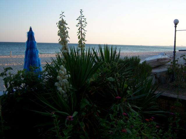 Name:  100_3081.jpg
Views: 342
Size:  34.8 KB