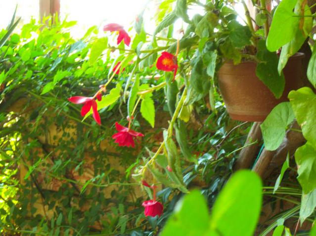 Name:  100_3096.jpg
Views: 550
Size:  58.4 KB