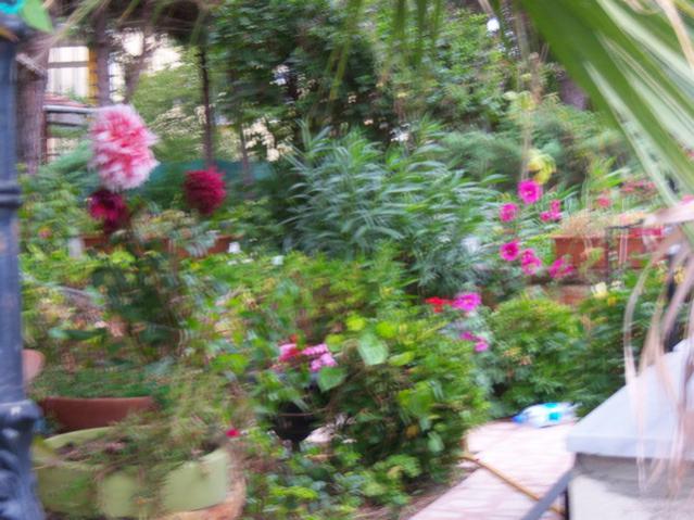 Name:  100_3131.jpg
Views: 260
Size:  58.3 KB